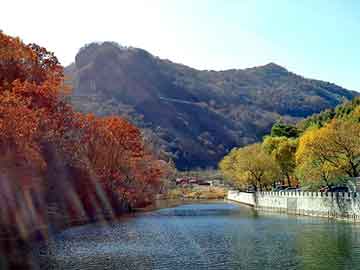 管家婆黑白马报图库，花木兰小说